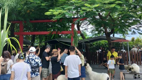 Tour clásico de Yilan: Granja Zhangmei y aguas termales Qingshui con actividades DIY (recogida en hotel desde Taipéi)