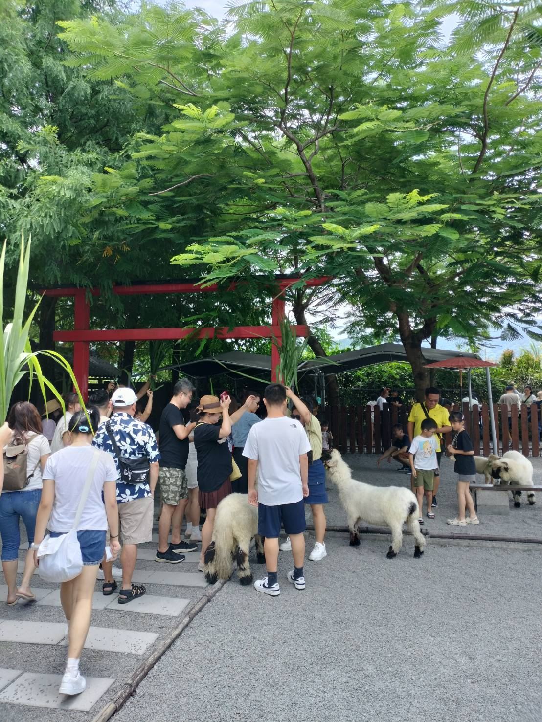 Yilan Classic Tour: Zhang Mei Farm & Qingshui Geothermal DIY (Hotel Pickup from Taipei)