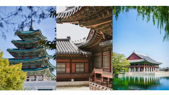 Rondleiding door het paleis met docent