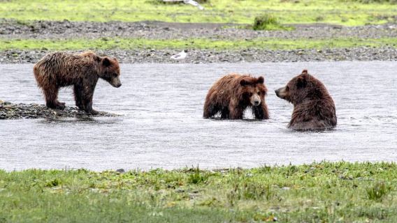Juneau