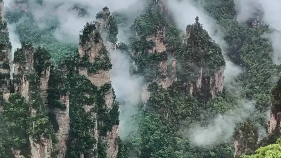 ○全含私人導覽-張家界國家森林公園1日遊-阿凡達-百龍天梯-天子山-深度遊玩-專業導遊-趣味講解-高效遊玩