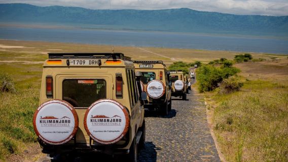 Excursión de un día al área de conservación de Ngorongoro