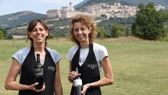 Picknick Deluxe Assisi en wijnproeverij 5 wijnen