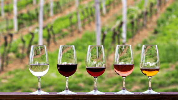 Ab Austin: Halbtägiger Hill Country Wine Shuttle