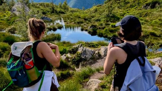Bergen: Bergwanderung auf den Gipfel von Bergen – Öffentliche Tour