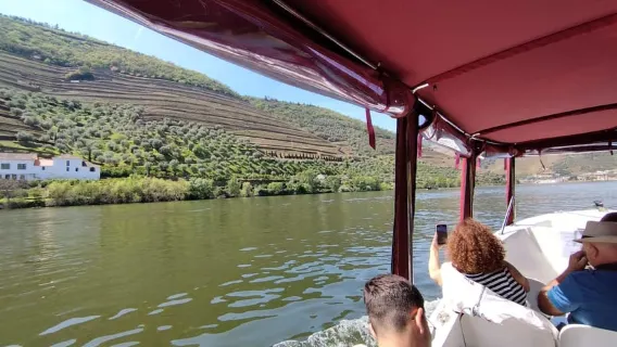 Pinhão: 1-stündige Bootsfahrt auf dem Douro mit Portwein