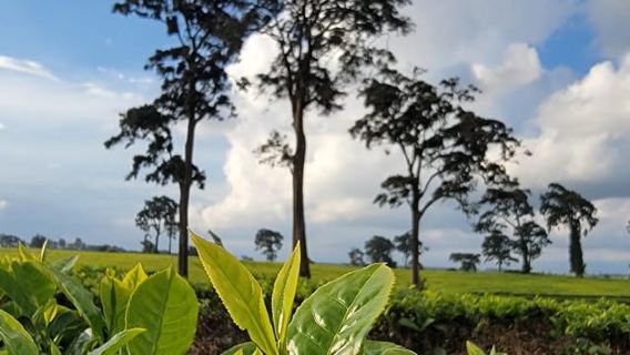 Tigoni: Lawatan E-basikal