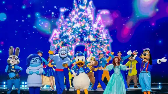 上海迪士尼尊享卡/VIP免排隊/快速通道/煙火VIP位/花車VIP位/隨到隨玩/多組合可選