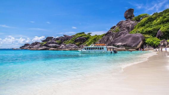 Similan Islands 1-day tour: Jelly-like sea + sea turtle encounters|Snorkeling|Check out Sail Rock|Pick-up & drop-off at the hotel + lunch