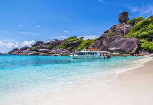 Similan Islands 1-day tour: Jelly-like sea + sea turtle encounters|Snorkeling|Check out Sail Rock|Pick-up & drop-off at the hotel + lunch