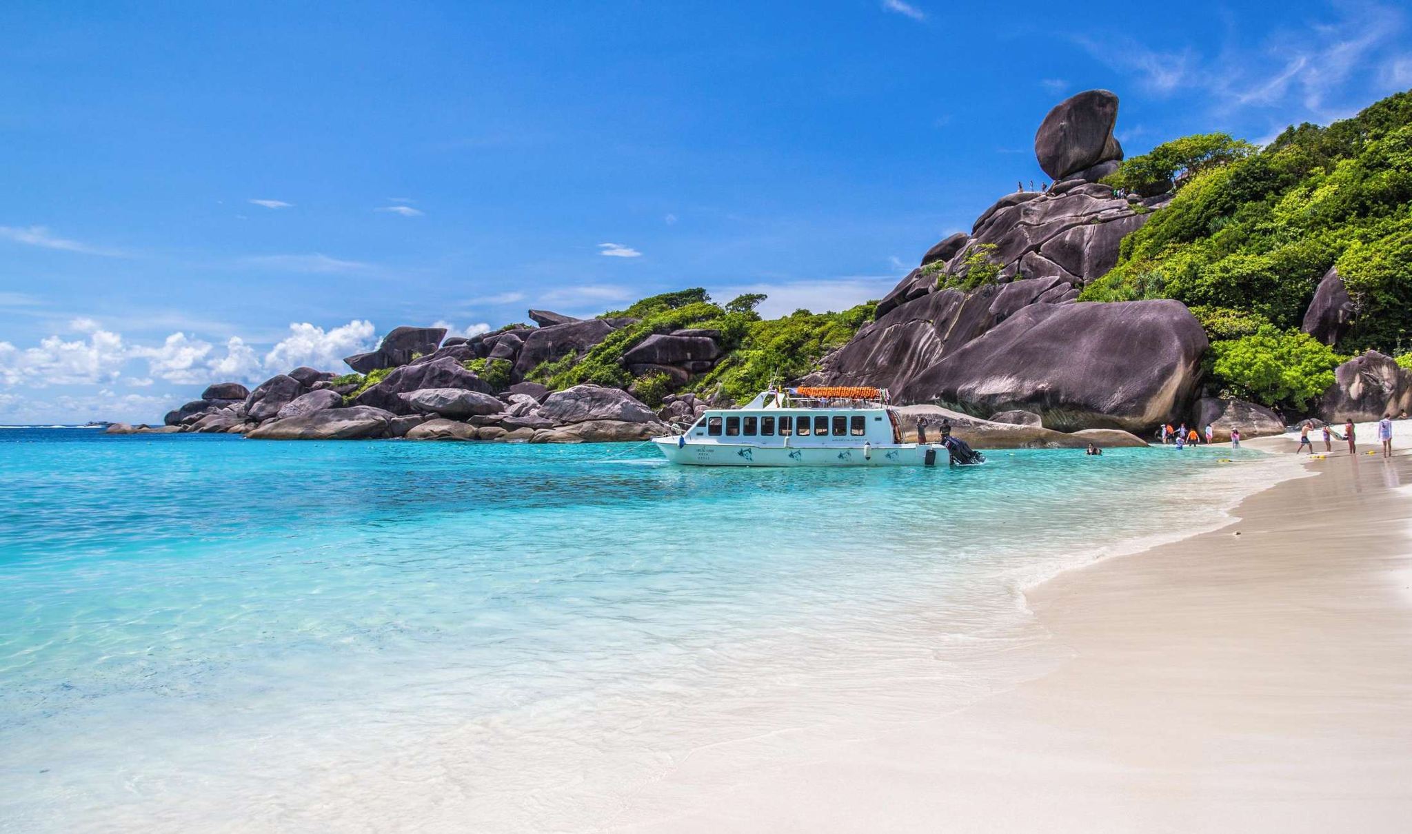 Similan Islands 1-day tour: Jelly-like sea + sea turtle encounters|Snorkeling|Check out Sail Rock|Pick-up & drop-off at the hotel + lunch