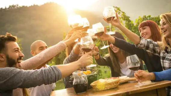 ทัวร์ 1 วัน ชิมไวน์กลุ่มเล็กในเคปทาวน์ ชิมไวน์ที่ไร่องุ่น 4 แห่งในเคปทาวน์