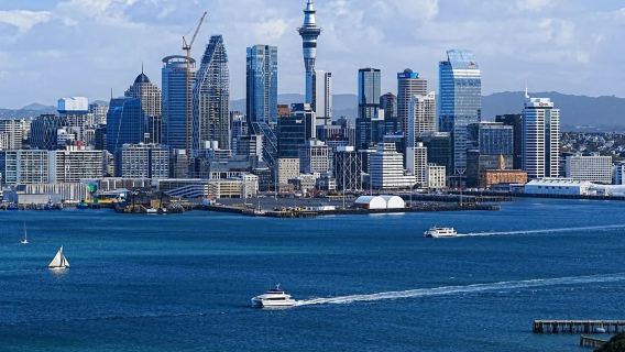 新西蘭奧克蘭市區網紅景點鳥島黑沙灘達文波特-包車-精選行程