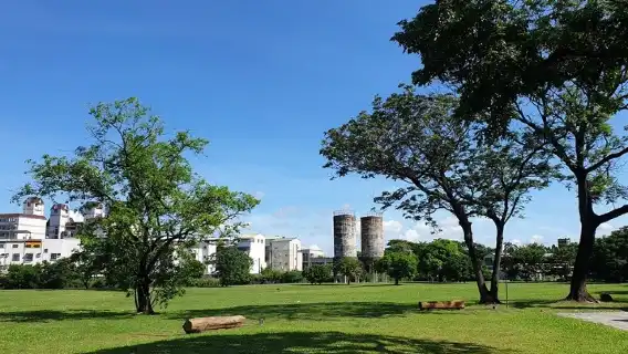 嘉義樂齡踏青輕快寫意樂悠遊