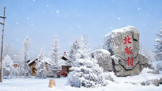 Mohe Arctic Village + Reindeer Park + Northernmost Outpost + Mohe Ballroom day tour (includes admission ticket, 1 group per booking)