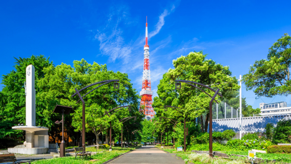 [CARAT kết bạn] Tour thuê xe riêng khám phá ký ức đô thị Tokyo