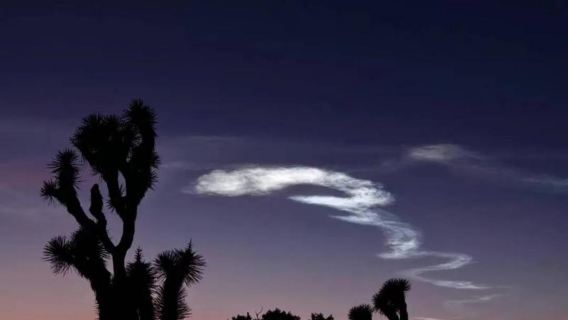 美國洛杉磯來回約書亞樹國家公園+棕櫚泉（選一）定制包車一日遊