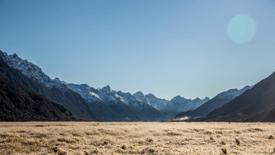 Tour du thuyền 1 ngày ở Vịnh Milford, New Zealand (khởi hành từ Queenstown) [Đón khách tại khách sạn + Bữa trưa]