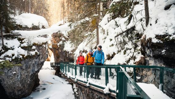 Johnston Canyon Icewalk from Banff