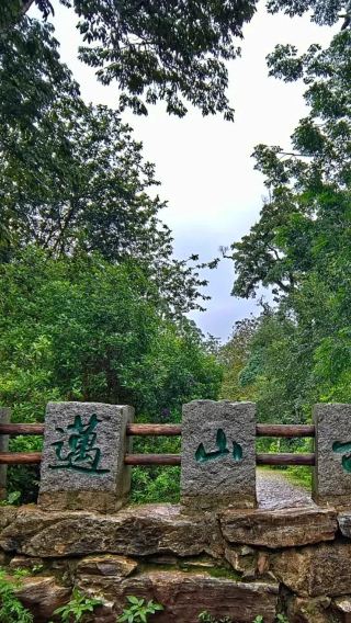 [Puer Departure Groups 2-8] Jingmai Mountain Wengji Ancient Village + Nuogan Ancient Village + Ancient Tea Forest One-Day Tour