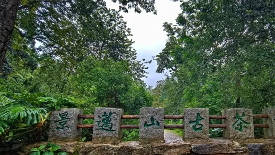 [8-Person Group Tour Departing from Pu'er] Jigu Village + Nuogan Village + Jingmai Mountain One-Day Tour | Door-to-Door Pickup and Drop-off