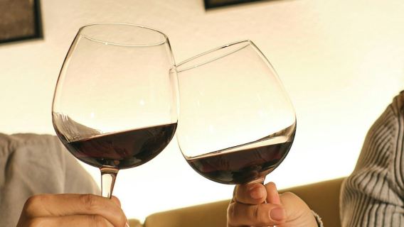 Verona: Wine Tasting near Juliet's House