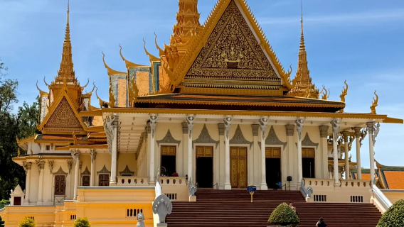 Phnom Penh Classic In-Depth Tour: Royal Palace, Wat Phnom, and National Museum 1-day tour