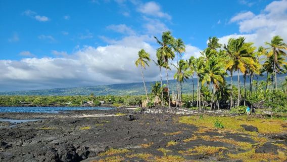夏威夷：霍那伍國家歷史公園+白沙灣+49黑沙灘+科納咖啡農場