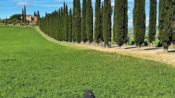 義大利羅馬-托斯卡納雙鎮觀光(皮恩扎+蒙特普爾恰諾)-精選