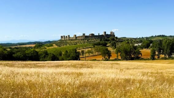 Encantadora experiencia en grupos pequeños con castillos de Chianti y vino