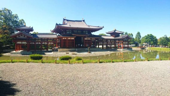 Padiglione d'Oro + Tempio Kiyomizu-dera + Tempio Hōkan-ji + Tempio Byodo-in|noleggio con conducente esclusivo in cinese|Itinerario flessibile|gruppo di auto condivisa