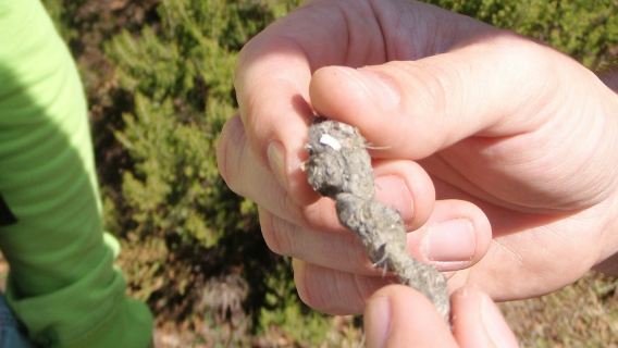 Parc Naturel d'Alvão : visite guidée