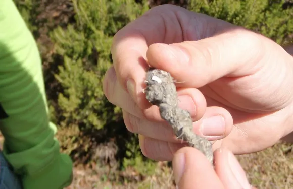 阿爾旺自然公園：導賞團