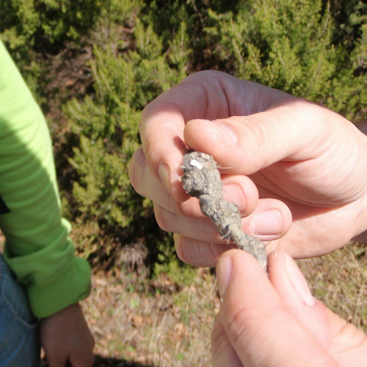 Naturpark Alvão: Führung