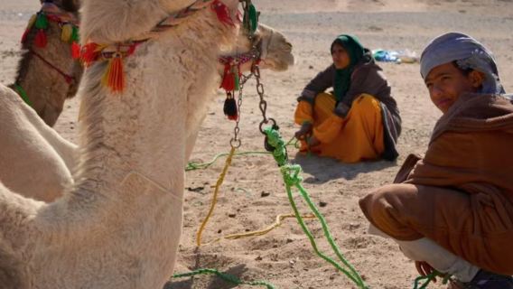 Egypt Red Sea Desert Safari with Hotel Transfer + Dinner, ATV, Jeep, Sunset & Stargazing