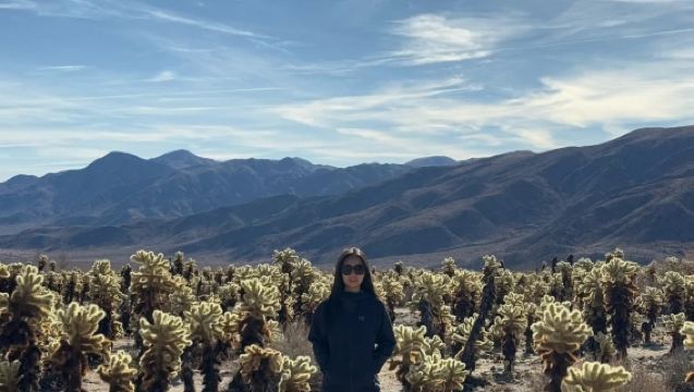 美國鳳凰城-來回約書亞樹國家公園-包車精選