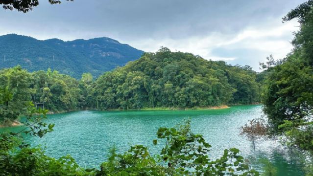 Lawatan Sehari Taman Hutan Sungai Liuxi Conghua + Taman Rekreasi Bunga Sakura Tenshi|Lawatan sewa peribadi dengan pengangkutan dari pintu ke pintu