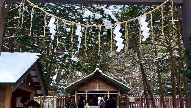 Lawatan klasik panorama Sapporo: Taman Odori - Lawatan Sehari Menara TV Sapporo + Penghantaran ke Lapangan Terbang [Tiket masuk tidak termasuk]