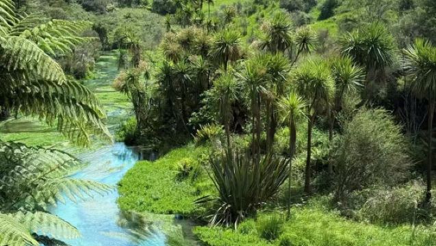 紐西蘭奧克蘭北島經典一日遊【藍泉＋懷托摩螢火蟲】行程可定制