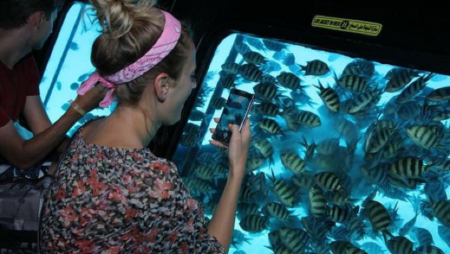 Экскурсия на подводной лодке Royal Sea Scope – Шарм-эль-Шейх