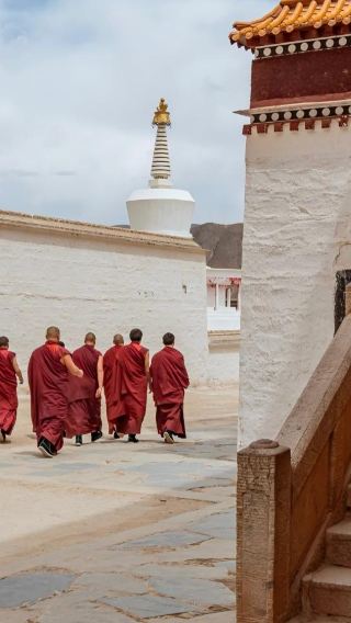 1-day tour to Labrang Monastery and Sangke Grassland (departing from Lanzhou)