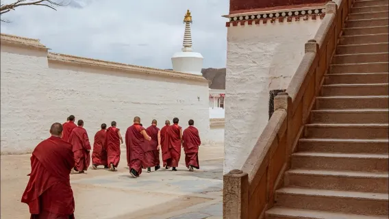 Eendaagse tour naar Labrang-klooster + Sangke-grasland (vertrek vanuit Lanzhou)