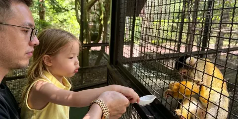 【九州精選】海地獄/灶地獄雙奇觀+由布院+自然動物園一日遊