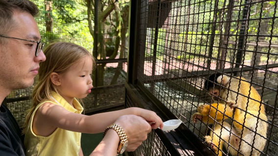 [Kyushu-Auswahl] Tagesausflug zu den Naturwundern Meeres-Hölle und Koch-Hölle, Yufuin und Naturzoo