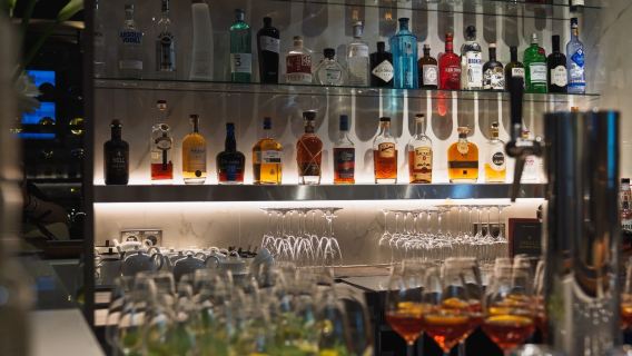Germany Munich international airport|Franz Josef Strauss airport VIP lounge pass/MUC airport VIP lounge for transfer/waiting/rest