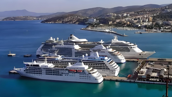 0.5-day private chartered tour between Kusadasi port and Ephesus in Türkiye with local driver, customizable