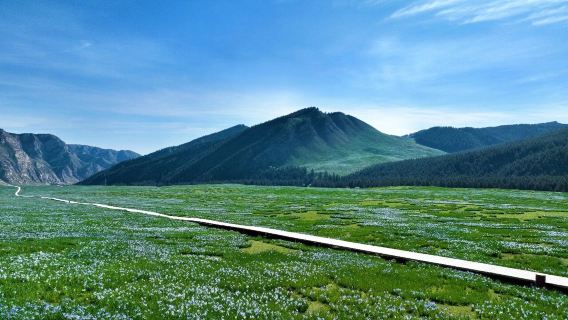 Lawatan pergi-balik 6 jam ke Sungai Binggou termasuk tiket masuk Padang Rumput Malanhua + Meneroka hutan Qilian |