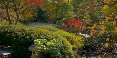 美國芝加哥+華麗一英里+白金漢噴泉一日遊/行程可調-可定制