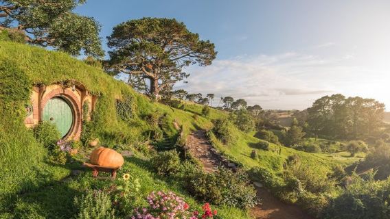 Hobbiton Movie Set Small Group Tour from Auckland