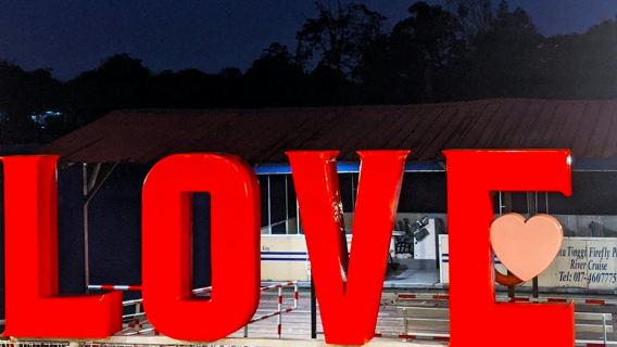 Johor Bahru: Firefly River Cruise Night Tour